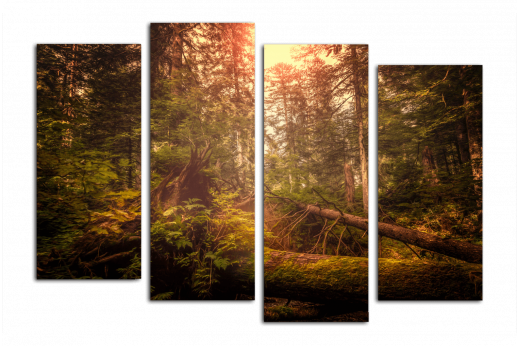Модульная картина Швейцарский лес